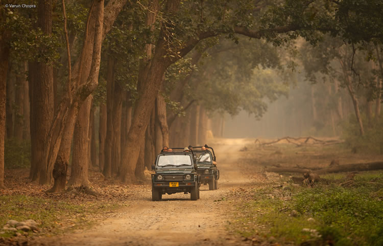 Corbett Safari